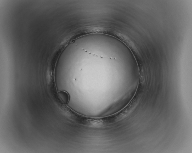 X0000112160355200908211439