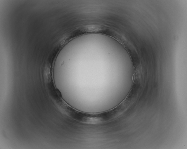 X0000112160360200908211439