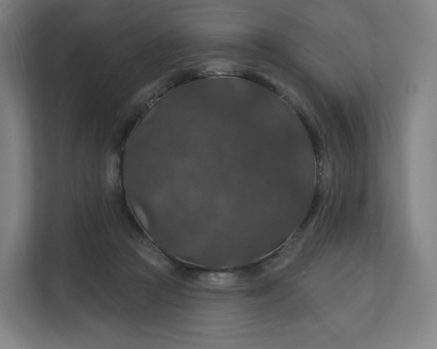 X0000112160361200908211439