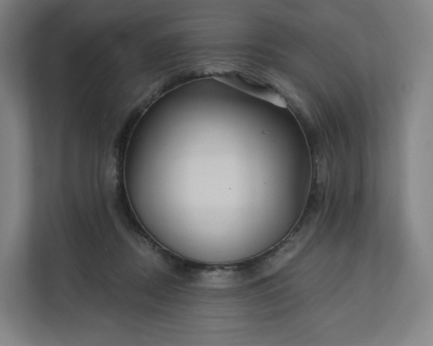 X0000112160362200908211439