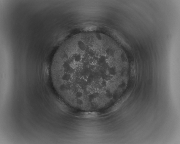 X0000112160363200908211439