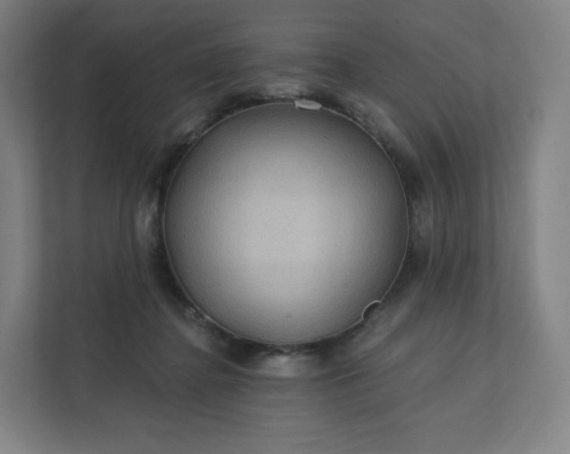 X0000112160364200908211439