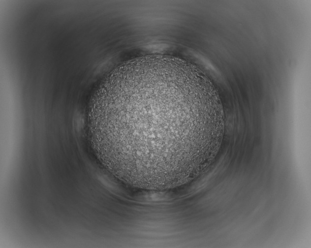 X0000112160365200908211439