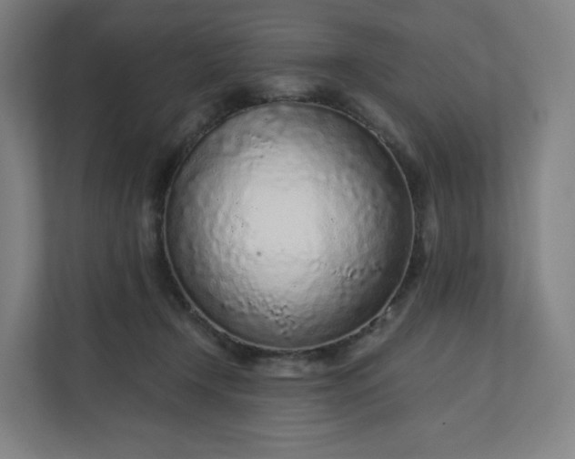 X0000112160366200908211439