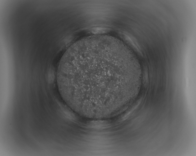 X0000112160367200908211439