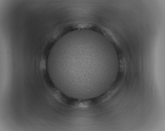 X0000112160368200908211439