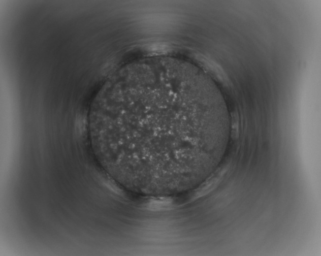 X0000112160369200908211439