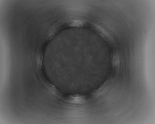 X0000112160370200908211439