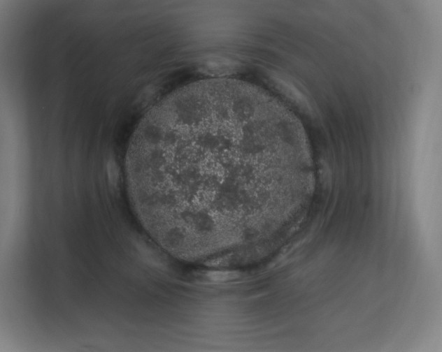 X0000112160371200908211439