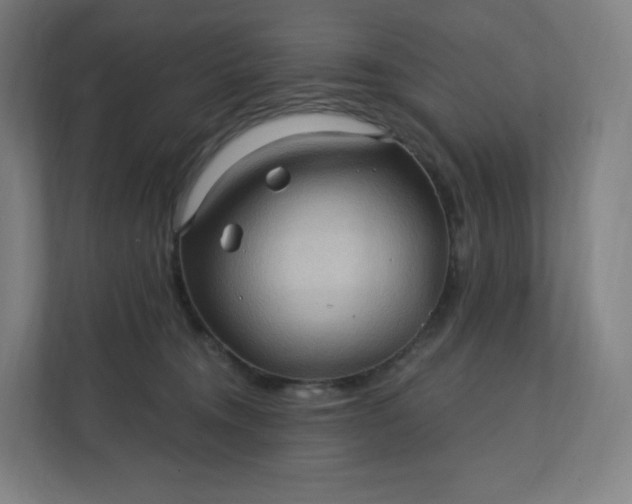 X0000112160372200908211439