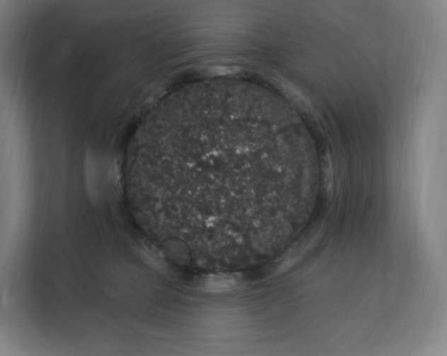 X0000112160373200908211439