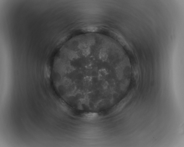 X0000112160374200908211439