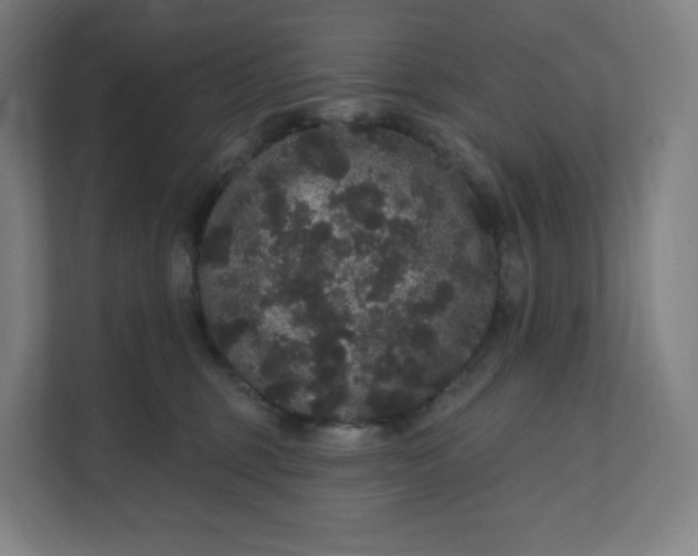 X0000112160375200908211439