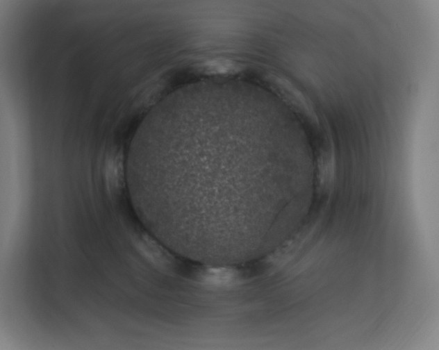 X0000112160376200908211439