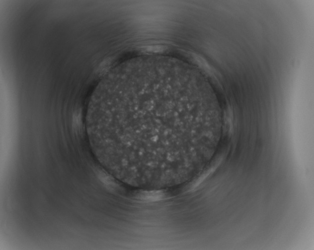 X0000112160377200908211439