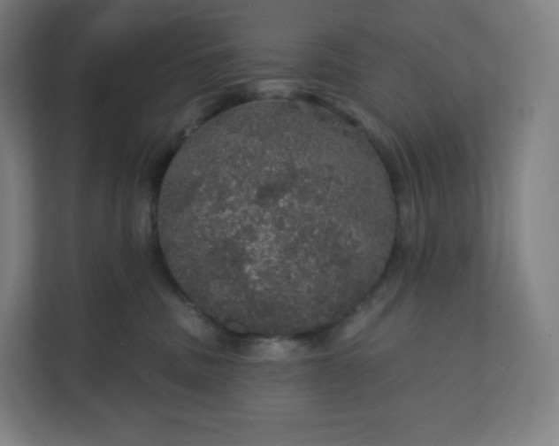 X0000112160379200908211439