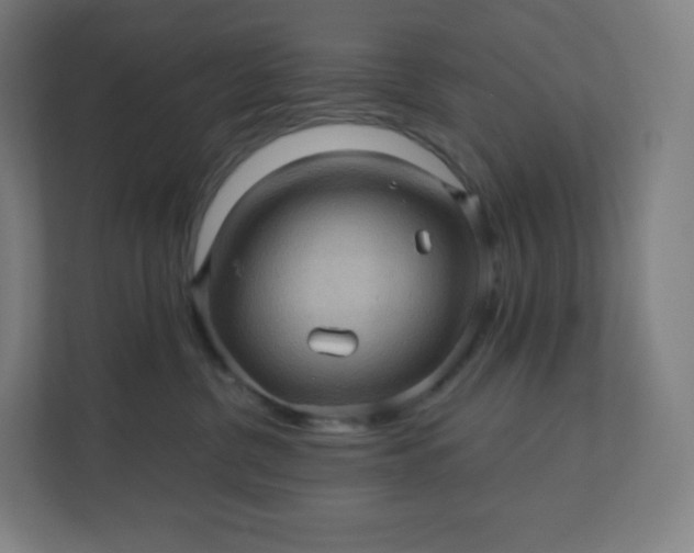 X0000112160380200908211439