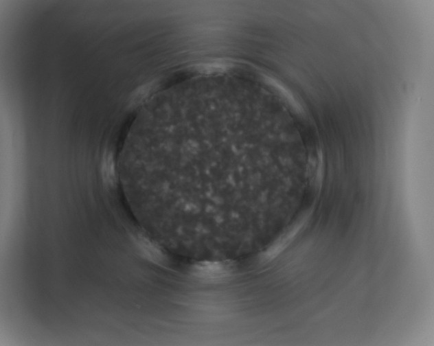 X0000112160381200908211439