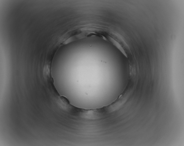 X0000112160382200908211439