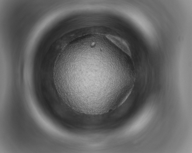 X0000112160383200908211439