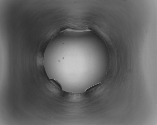 X0000112160384200908211439