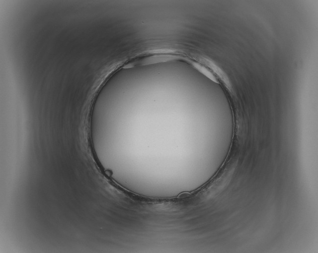 X0000112160385200908211438