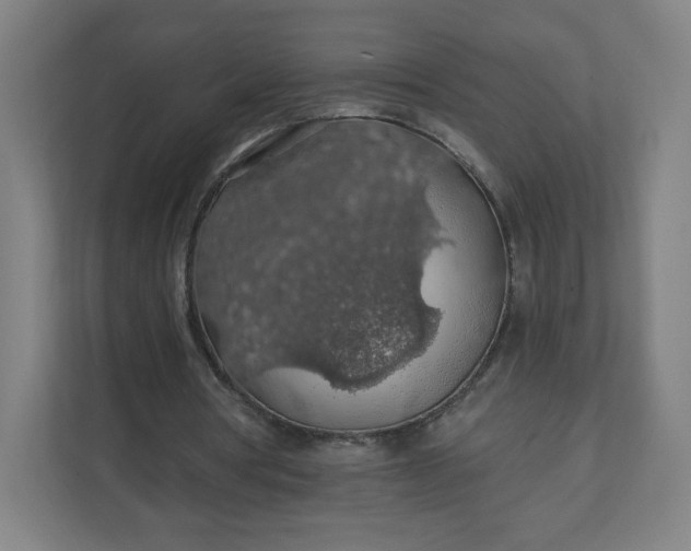 X0000112160386200908211438