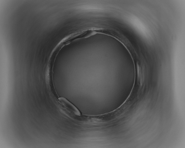 X0000112160387200908211438