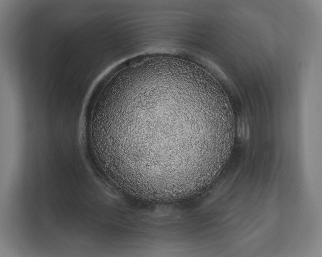 X0000112160388200908211438