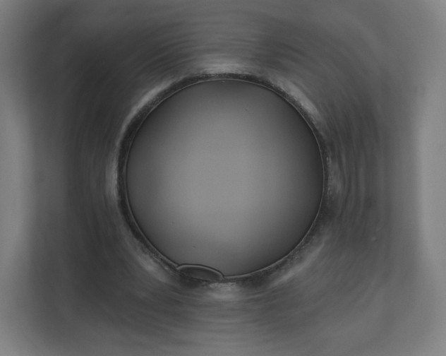 X0000112160391200908211438