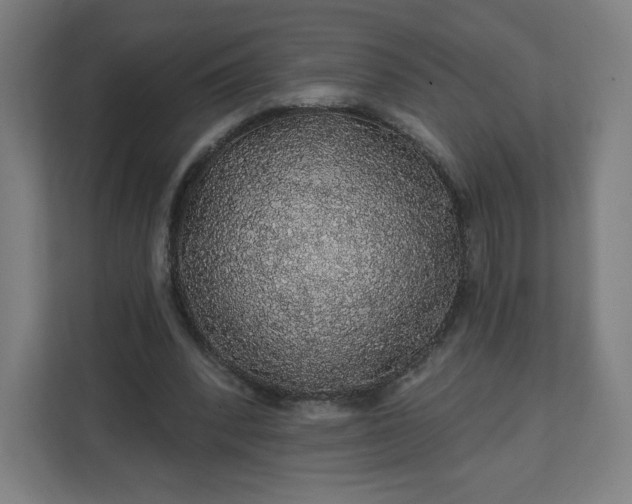 X0000112160392200908211438