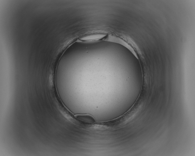 X0000112160393200908211438