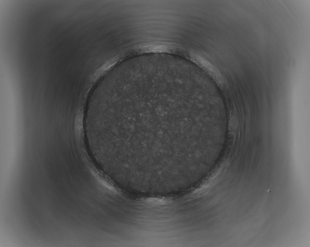 X0000112160394200908211438