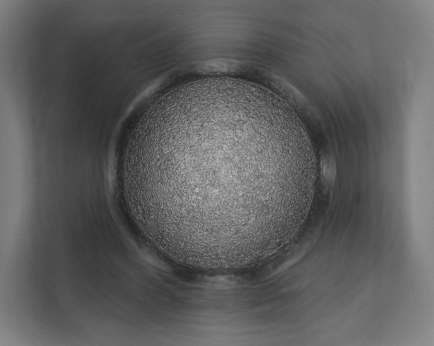 X0000112160396200908211438