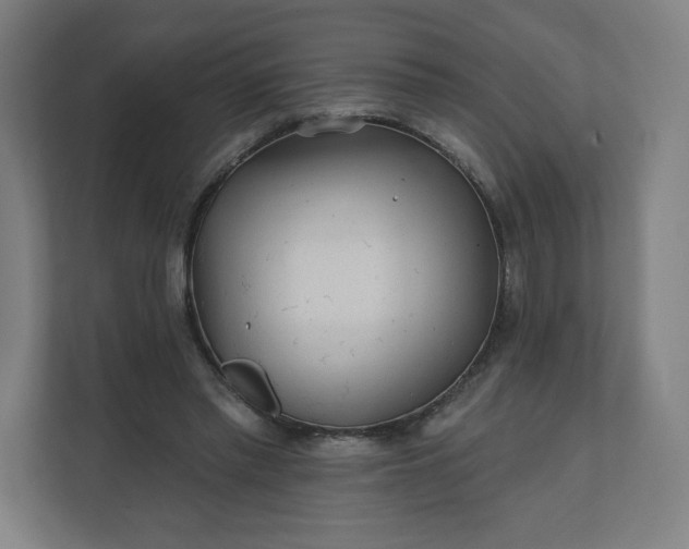 X0000112160397200908211438