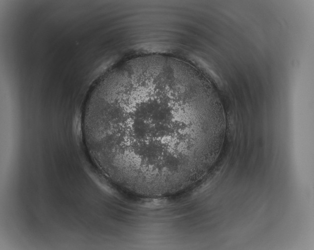 X0000112160398200908211438