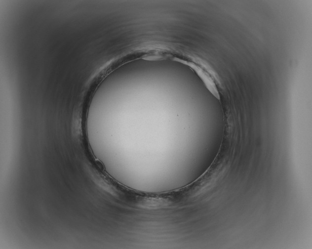 X0000112160399200908211438