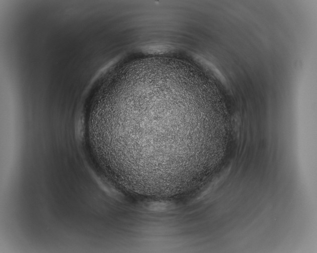 X0000112160400200908211438