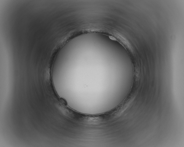 X0000112160401200908211438