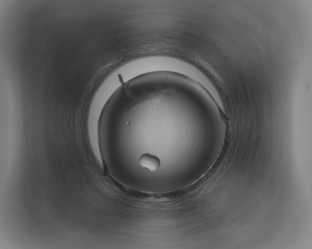 X0000112160403200908211438