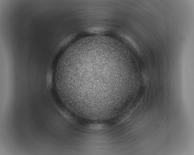 X0000112160404200908211438