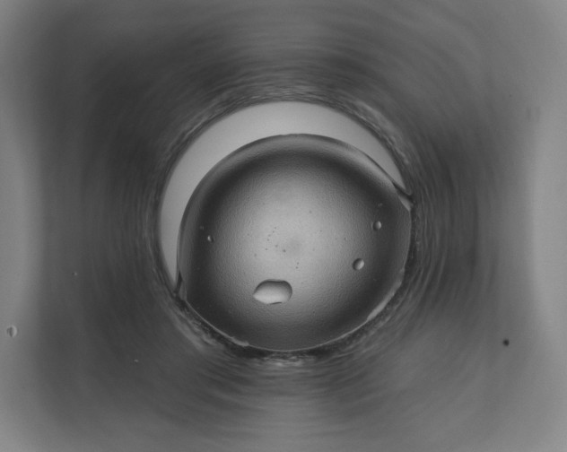 X0000112160405200908211438