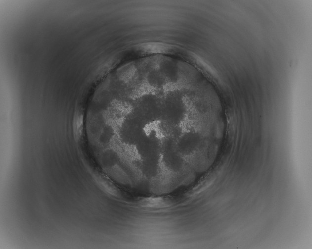 X0000112160406200908211438