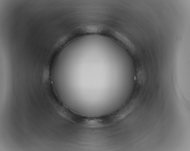 X0000112160407200908211438