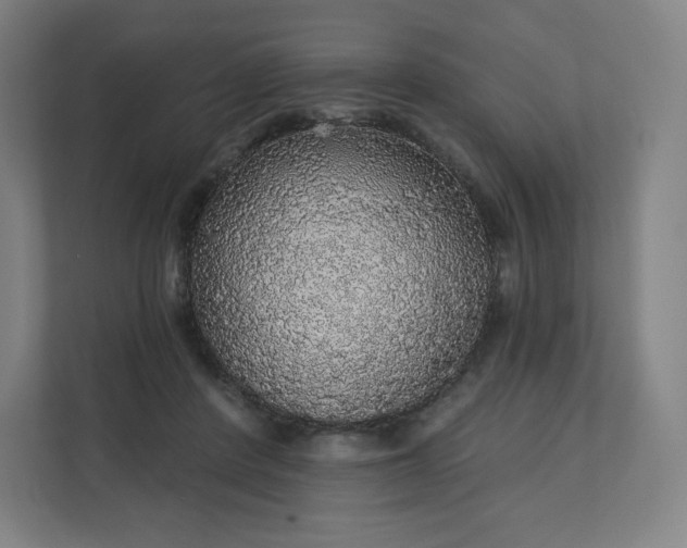 X0000112160408200908211438