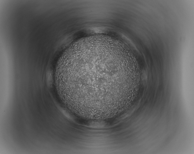 X0000112160410200908211438