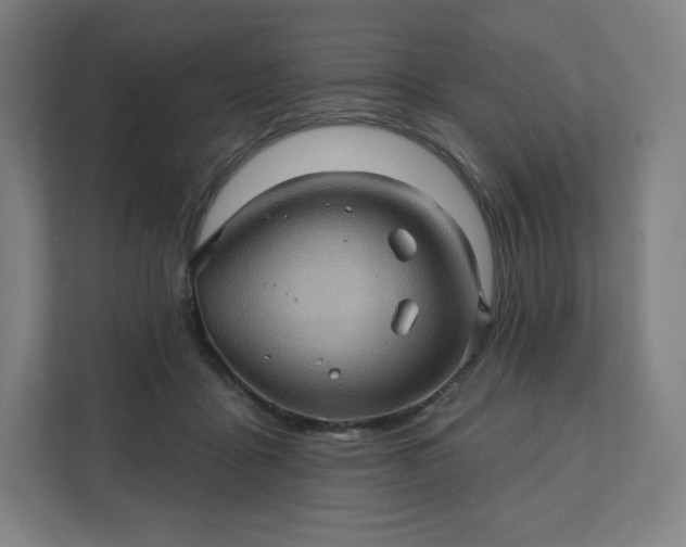 X0000112160411200908211438