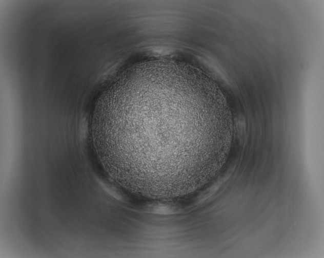 X0000112160412200908211438