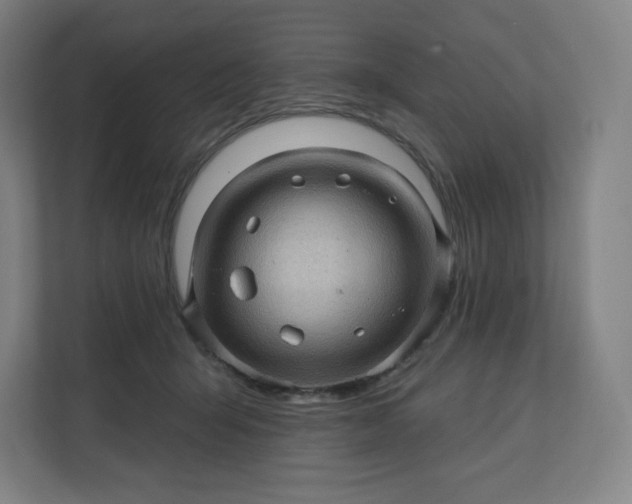 X0000112160415200908211438