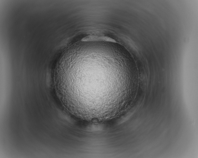 X0000112160416200908211438